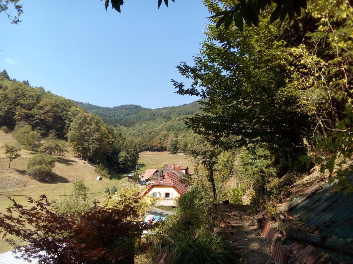 Отель Abri De Jardin Amenage, Chambre Camping Glamour Lalaye Экстерьер фото