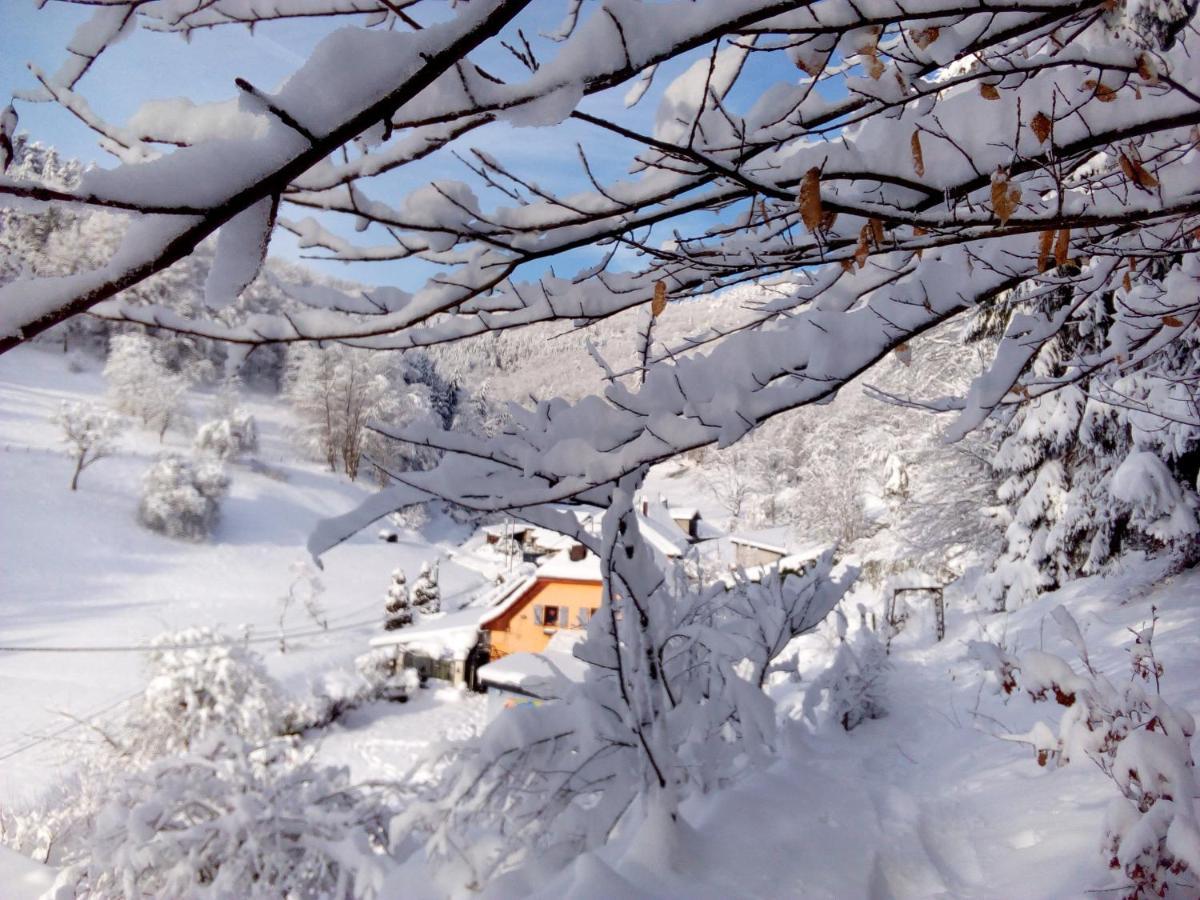 Отель Abri De Jardin Amenage, Chambre Camping Glamour Lalaye Экстерьер фото
